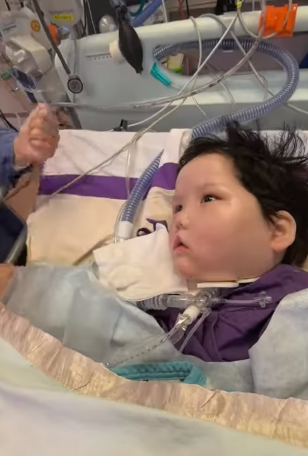 手術期間因醫療事故變成植物人的8歲女童周天瑜,情況一直受到關注。天瑜爸爸昨晚年三十(9日)在社交平台上傳影片,一家一起去到醫院陪伴天瑜,一家四口在天瑜床邊溫馨團聚。(天瑜醫療事故關注組)