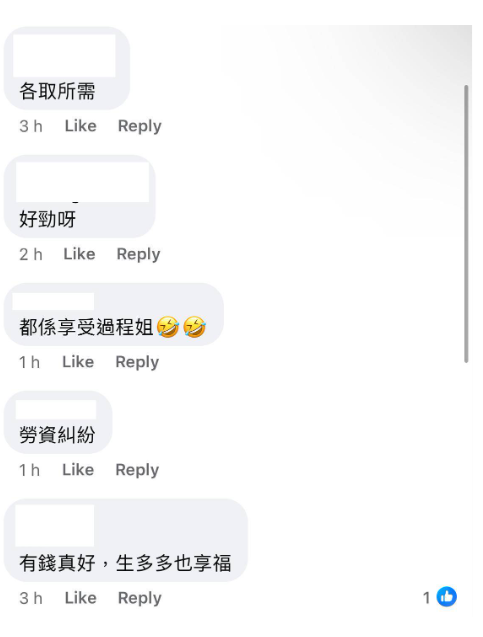 (圖片來源:Facebook@大埔TAI PO)