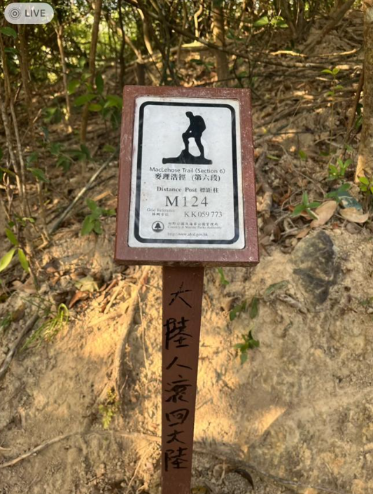 (圖片來源:小紅書)