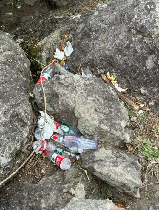 (圖片來源:小紅書)