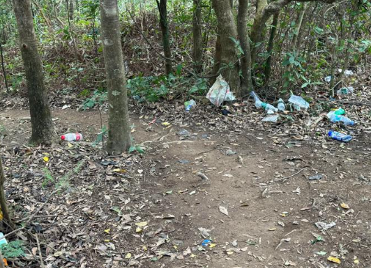 (圖片來源:小紅書)