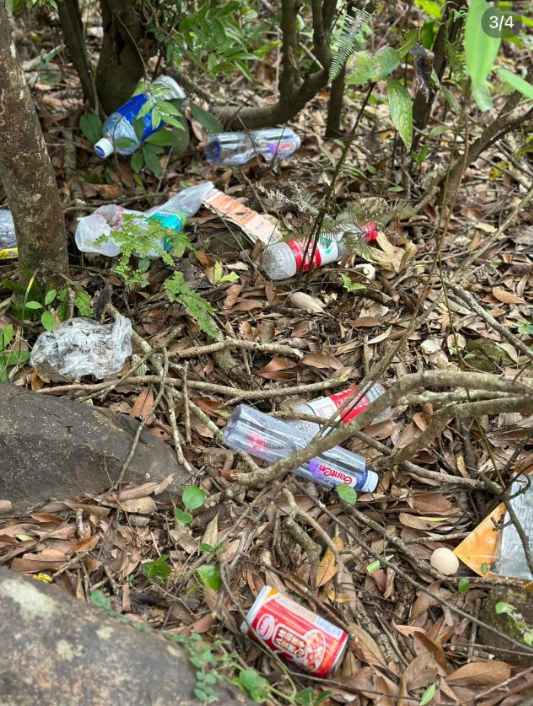 (圖片來源:小紅書)