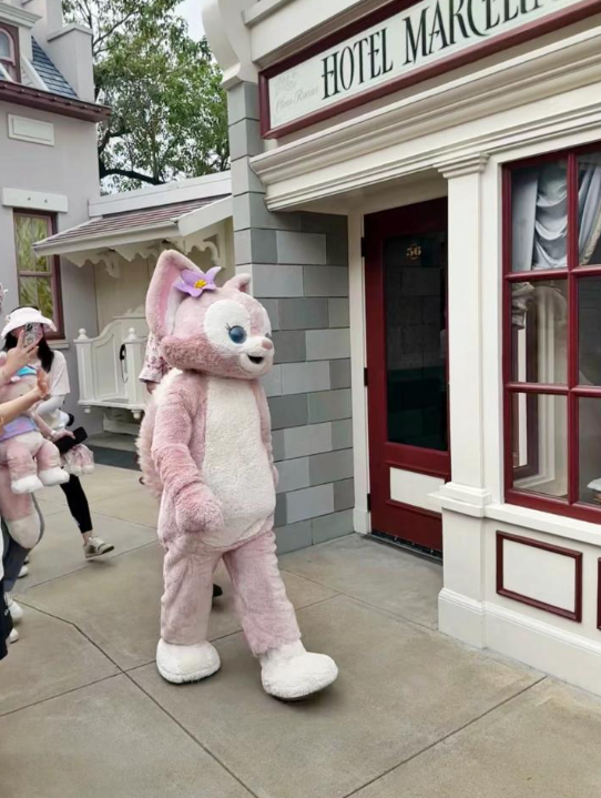 (圖片來源:小紅書)