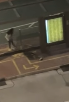 女方突情緒激動,跑出馬路橫越4條行車線到一巴士站,脫下鞋子及長褲丟在地上,然後再次走出馬路,邊走邊脫下白衣短袖上衣至半裸,只餘下內褲。(網上影片)