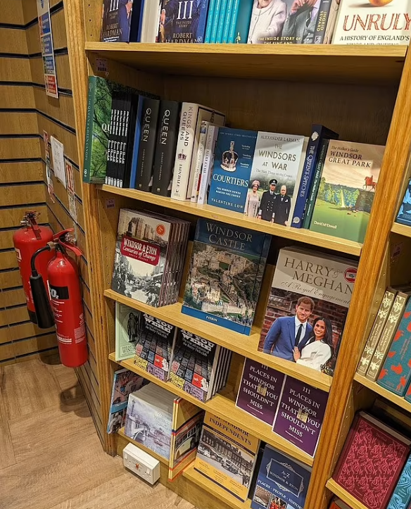 講述哈里梅根訂婚的書被賤賣。(互聯網)