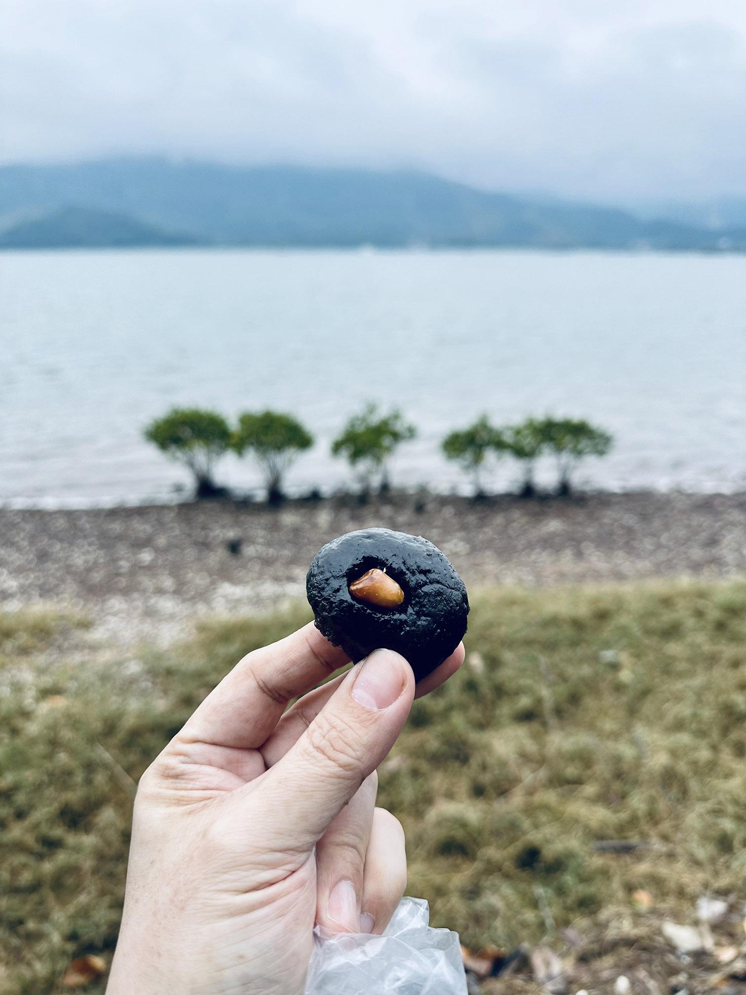 鳳坑小食雞屎藤茶果不能錯過