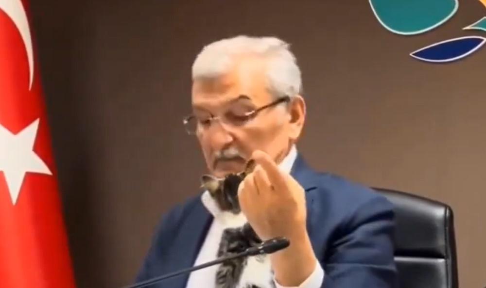 小貓一下子鑽到他的臂彎裡,一下子又想要往他臉上親親,甚至直接爬到他的肩膀上靠近其項頸邊磨蹭。(X)