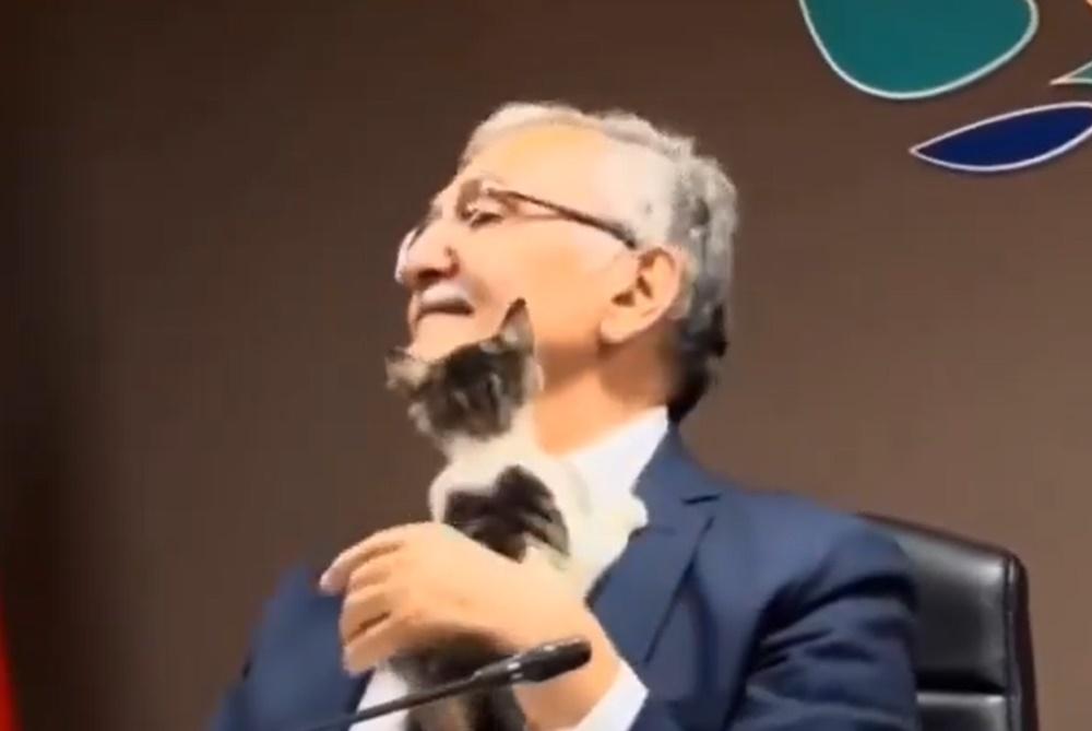 小貓一下子鑽到他的臂彎裡,一下子又想要往他臉上親親,甚至直接爬到他的肩膀上靠近其項頸邊磨蹭。(X)