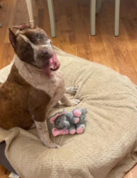 在Chrissy滿滿的愛裡,一星期過去,一個月過去,甚至一年。