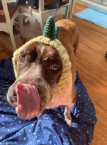 在Chrissy滿滿的愛裡,一星期過去,一個月過去,甚至一年。