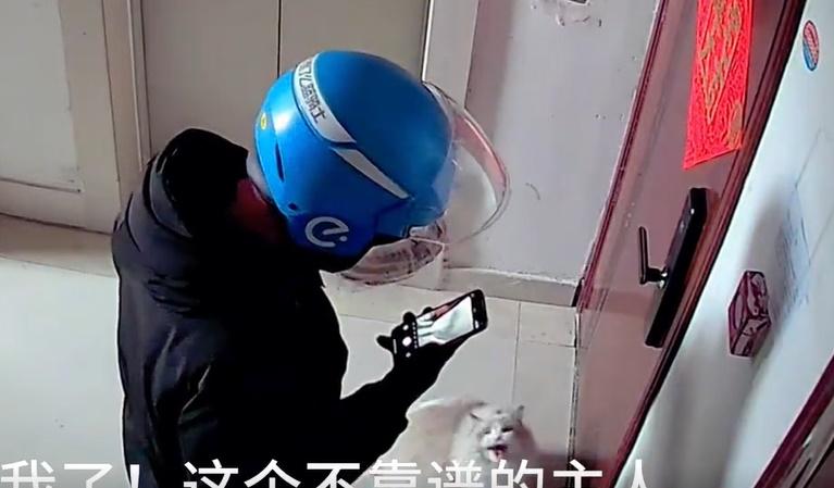 貓咪則在門口不斷大聲喵喵叫,似在埋怨剷屎官無心肝。(微博)