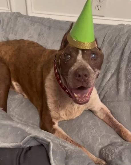 Seymour早前已順利迎來19歲生日。