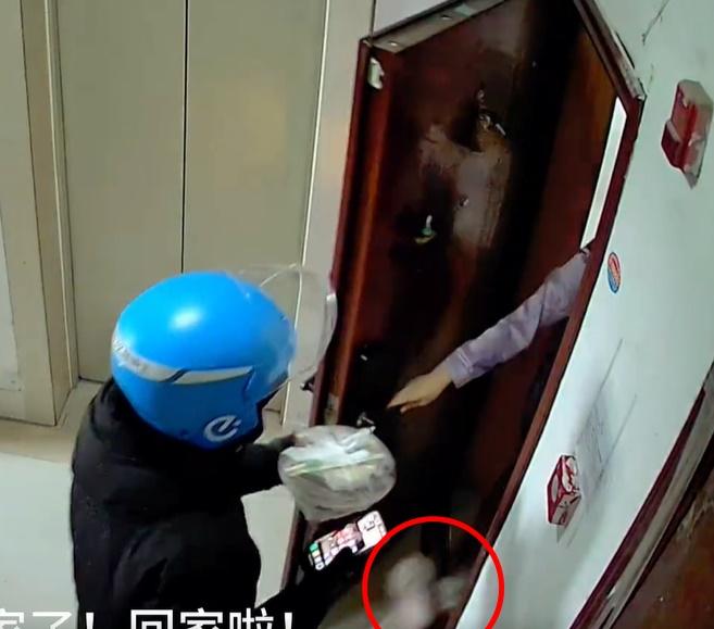 就在大門打開時,貓咪立即一個箭步,衝回屋裡。(微博)