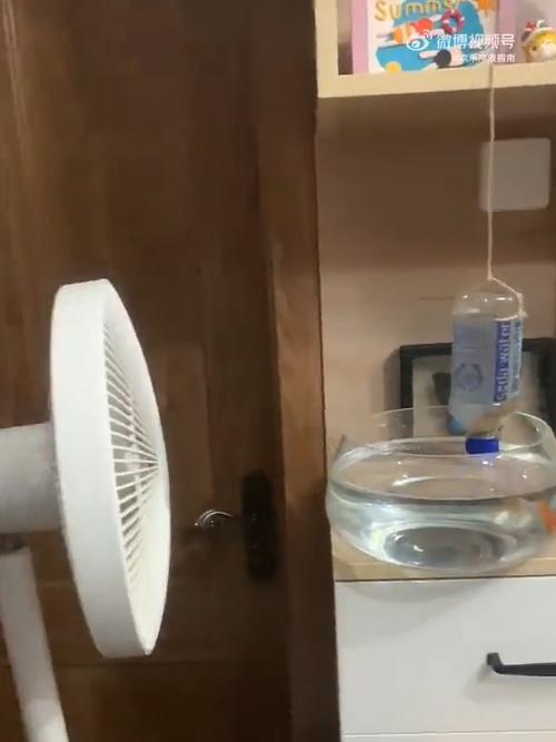 用家中可以手機控制開關的電風扇對著膠樽。(微博)