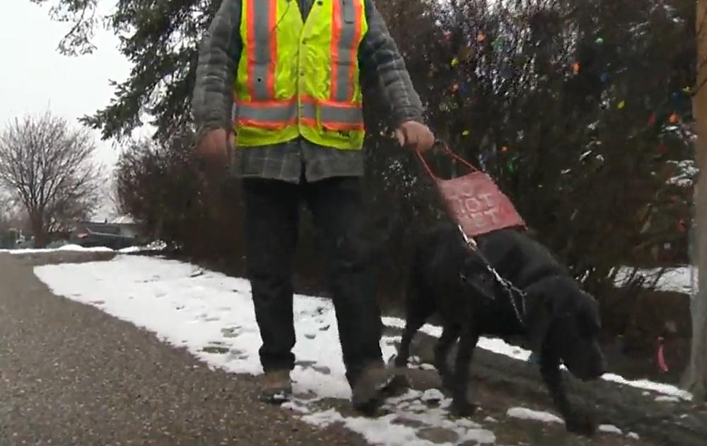 當他跟Dodger提及「回家」時,牠竟然認得回家的路。(Global News)