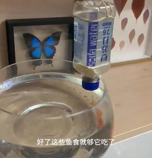 用聲音透過手機操控開啟電扇,就會吹動膠樽,膠樽撞向魚缸就會撒出飼料。(微博)