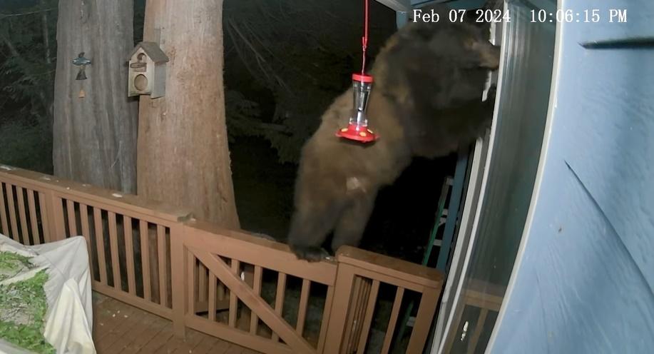 熊站在欄杆上面伸出手想闖入住宅,但一番努力卻未能成功。(FB)