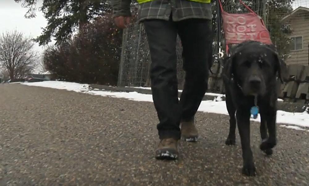 Roland感激地說:「Dodger的聰明才智讓我很感動,牠真的很有靈性」。(Global News)