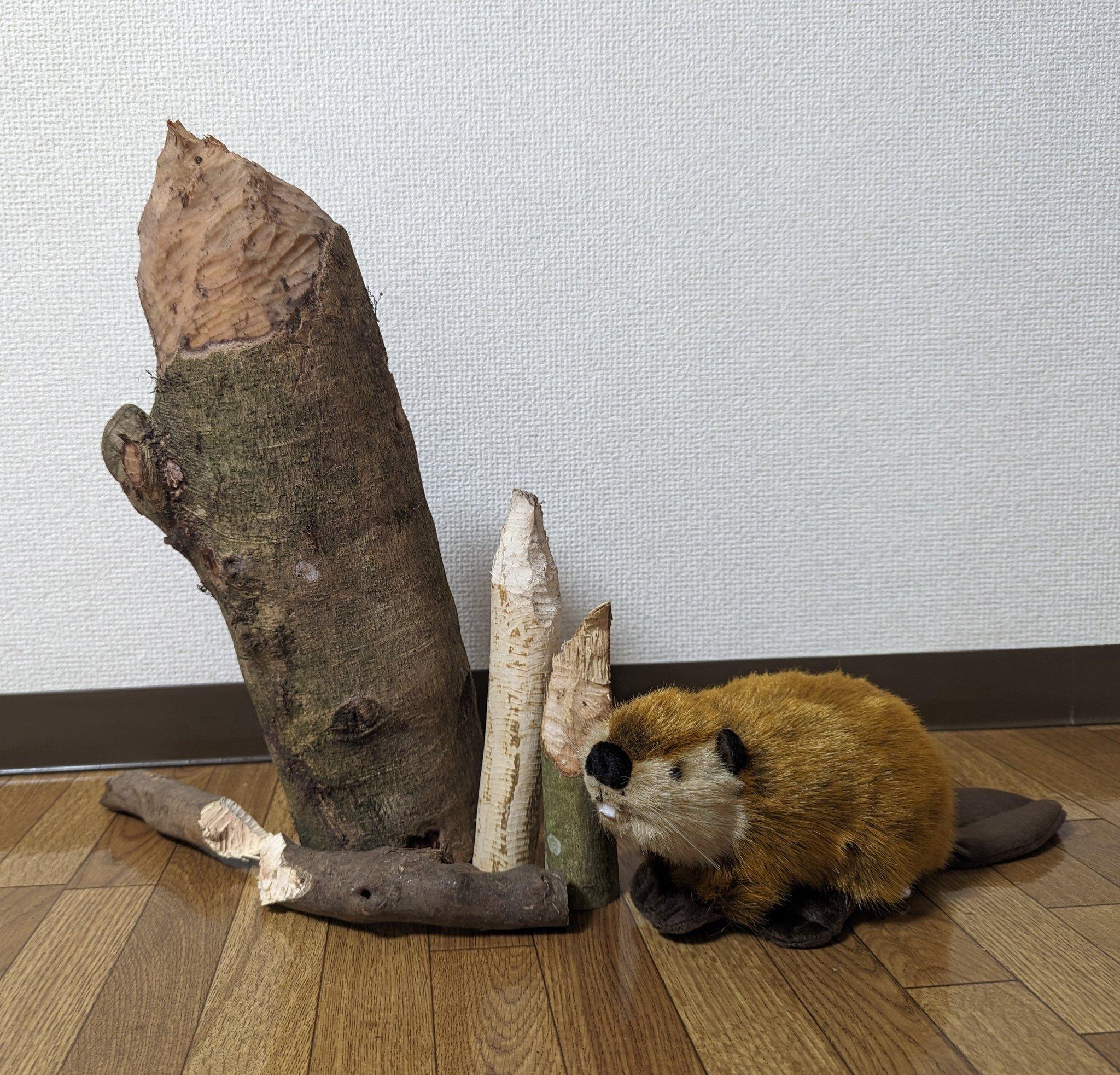 顧客:每次看它(木頭),都會聽到咬木頭的聲音,令人會心微笑。(X)