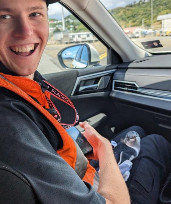 機場職員前來救援將企鵝送到當地的「威靈頓動物園」(Wellington Zoo)。(IG)