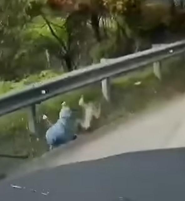 女子踉蹌倒地,要起腳踢來抵禦,情況危急。(FB)