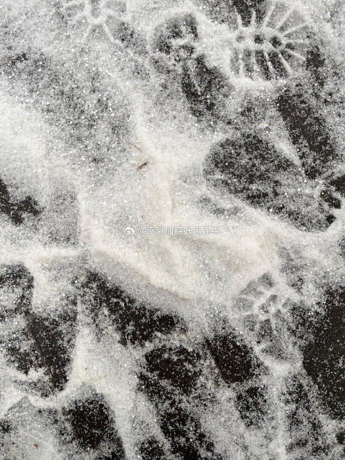 龍年第一場雪|內地維持暴雪黃色和冰凍黃色預警 料至周五仍受寒潮影響(微博圖片)