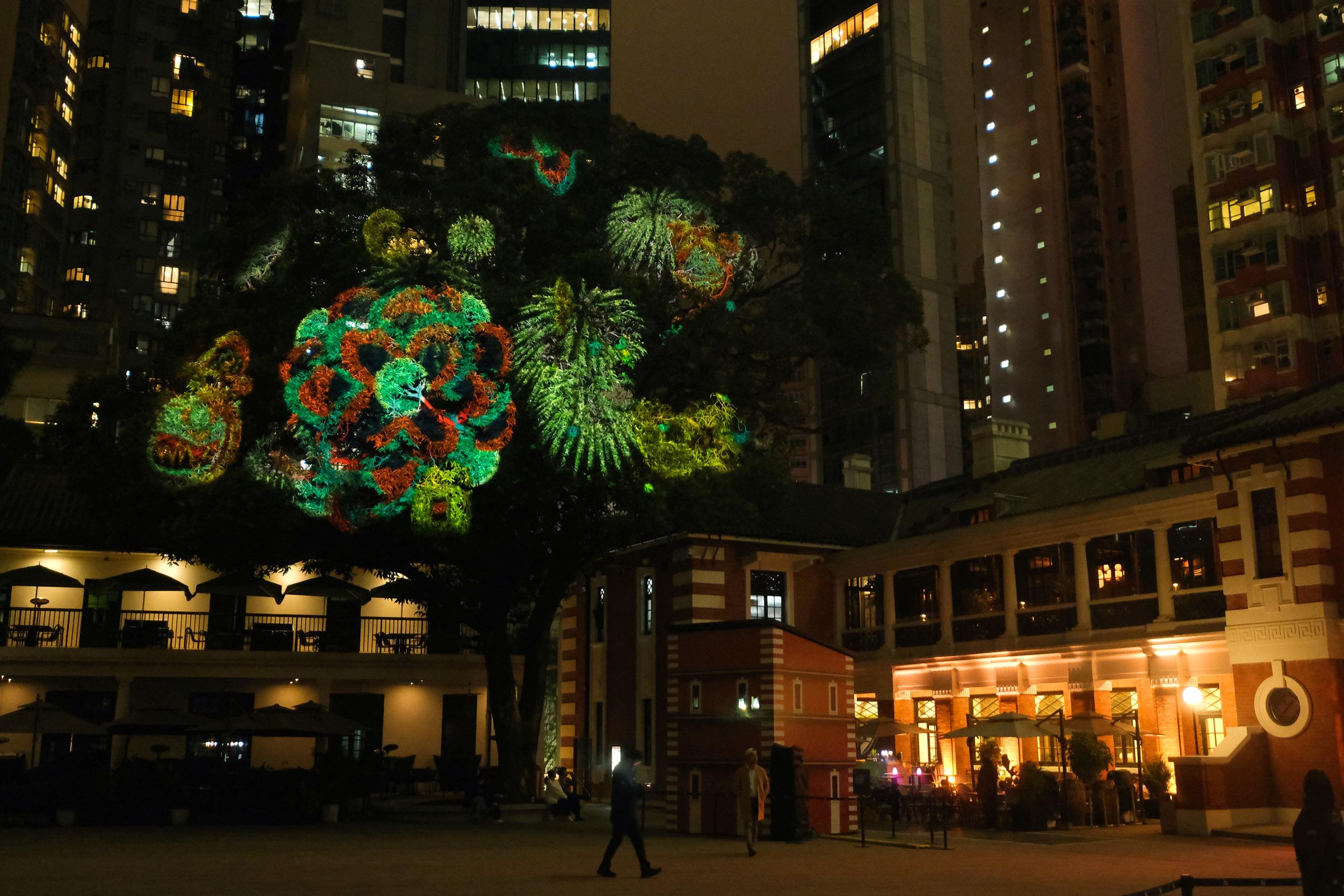 新年好去處2024|大館《綻放大館2024》