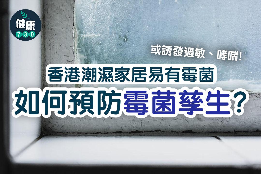 潮濕天氣或引起過敏及哮喘,預防霉菌方法(am730製圖)