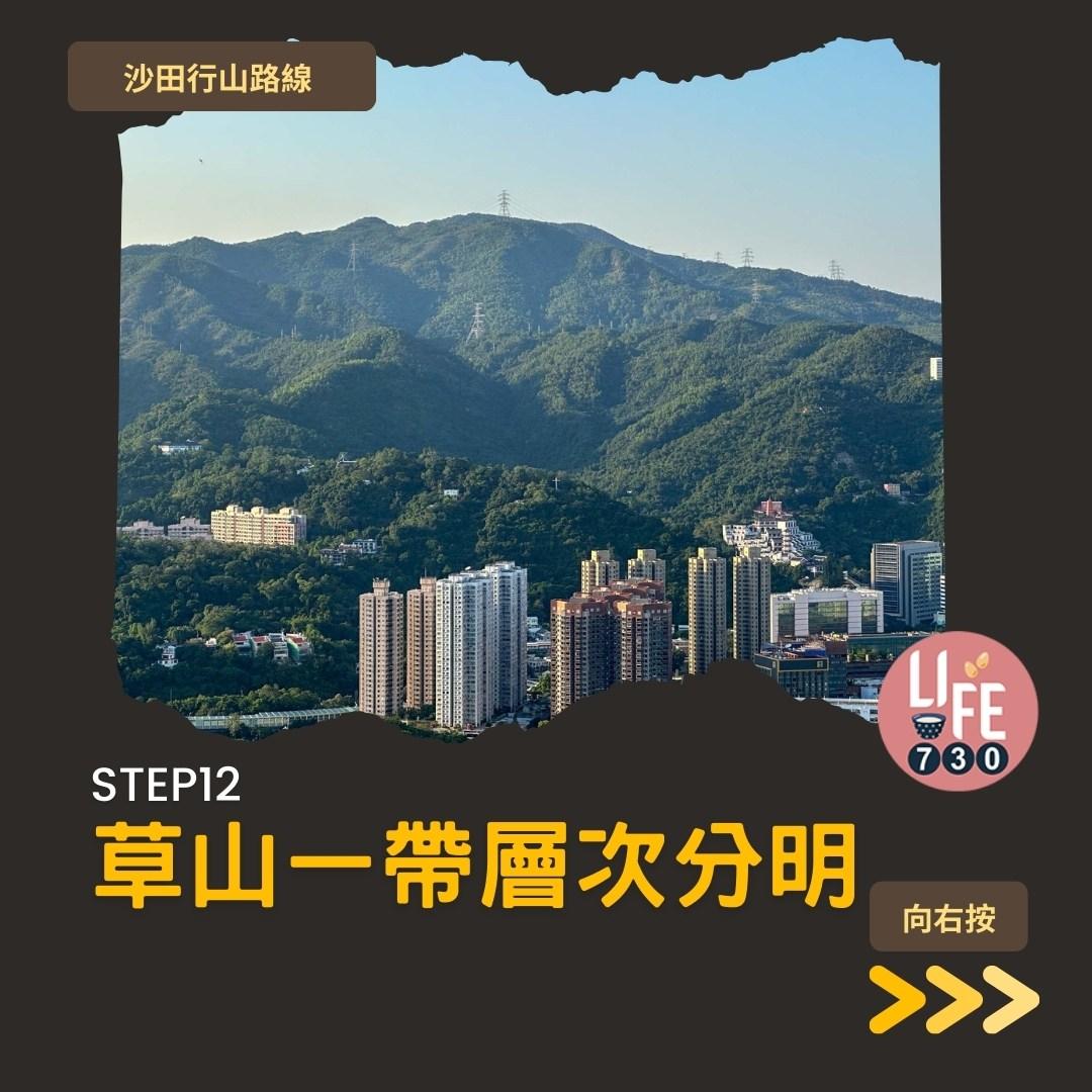 沙田行山|蝌蚪坪輕鬆登頂 周末拍拖親子樂好去處(am730製圖)