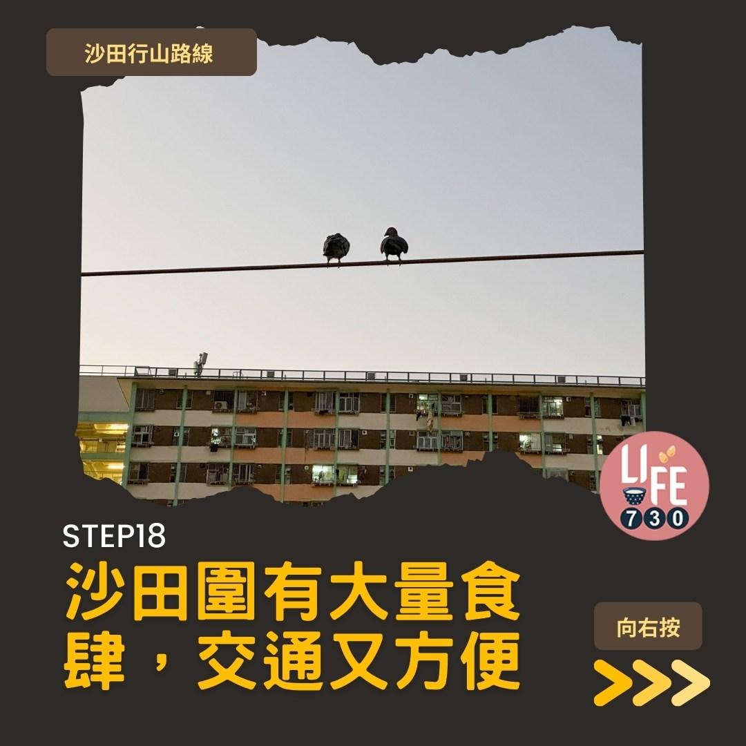 沙田行山|蝌蚪坪輕鬆登頂 周末拍拖親子樂好去處(am730製圖)