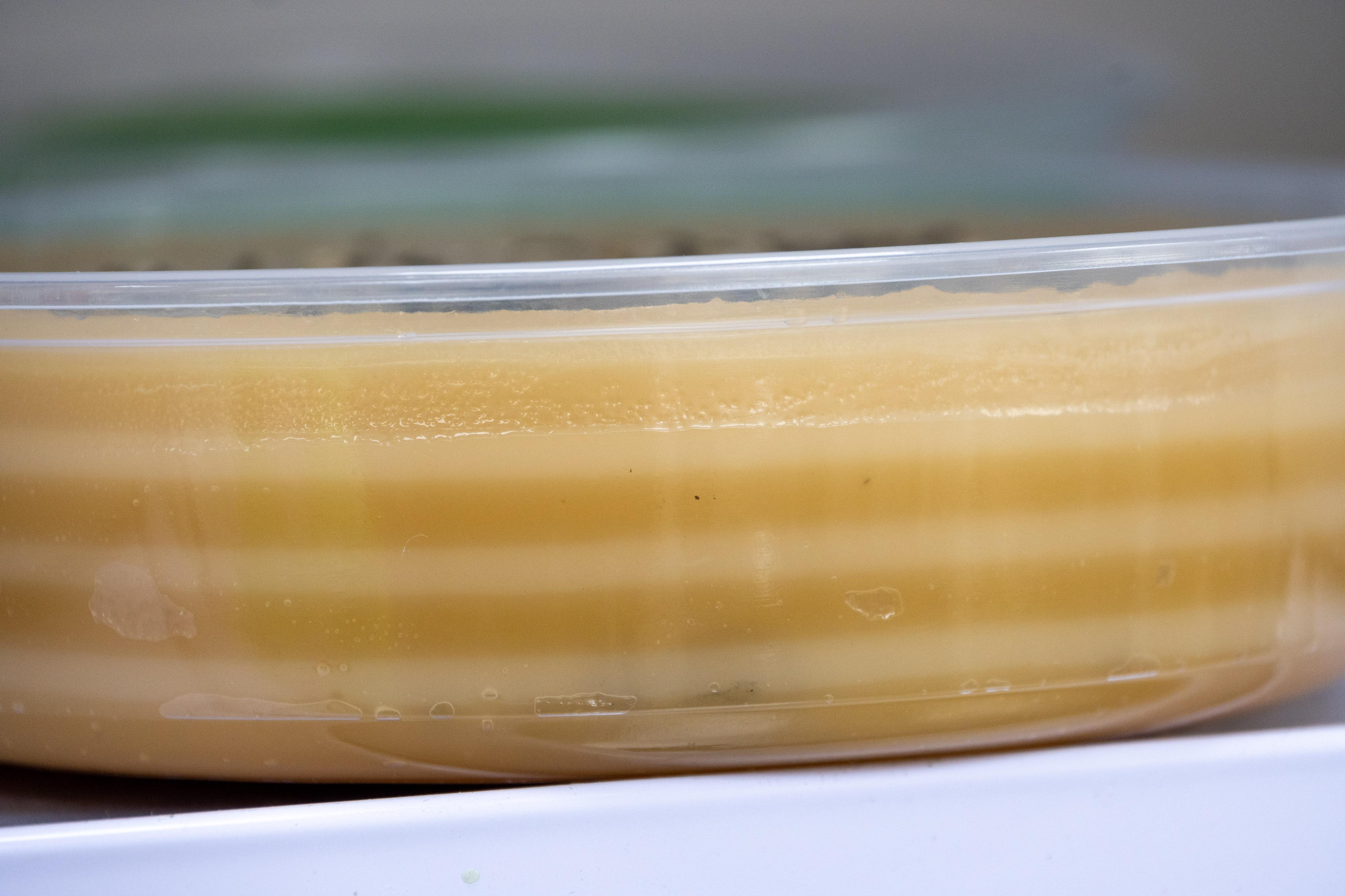 千層糕是隱藏商品,因製作繁複,若想吃到便要碰碰運氣。(攝影:陳奕釗)