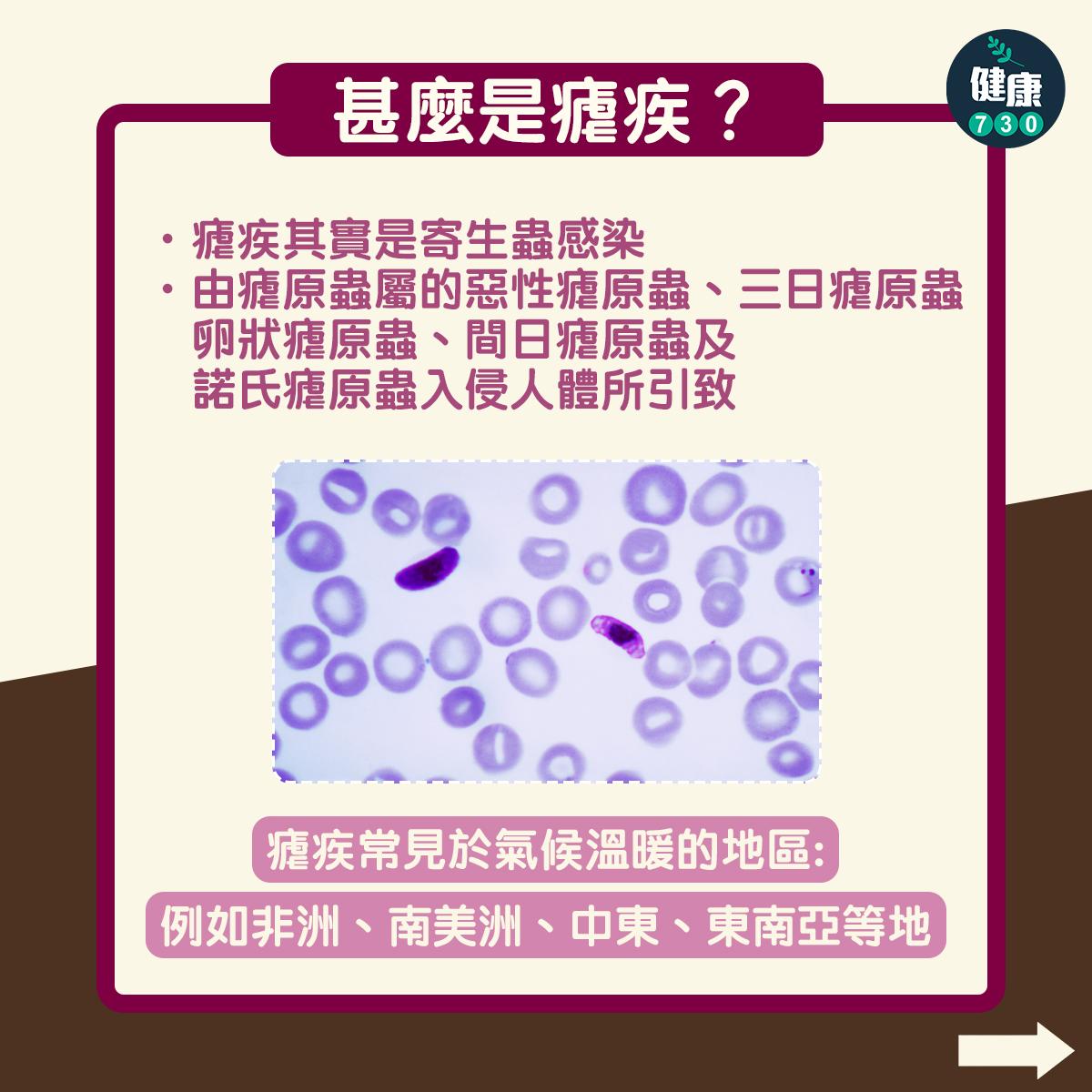 瘧疾症狀、傳染途徑、治療及預防方法,小心蚊叮蟲咬(am730製圖)