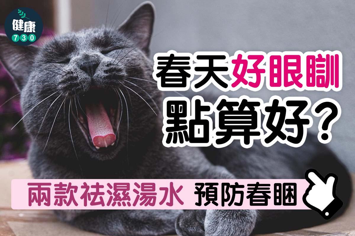 春天湯水|雙術化濕湯及老黃瓜茯苓扁豆湯去濕(am730製圖)