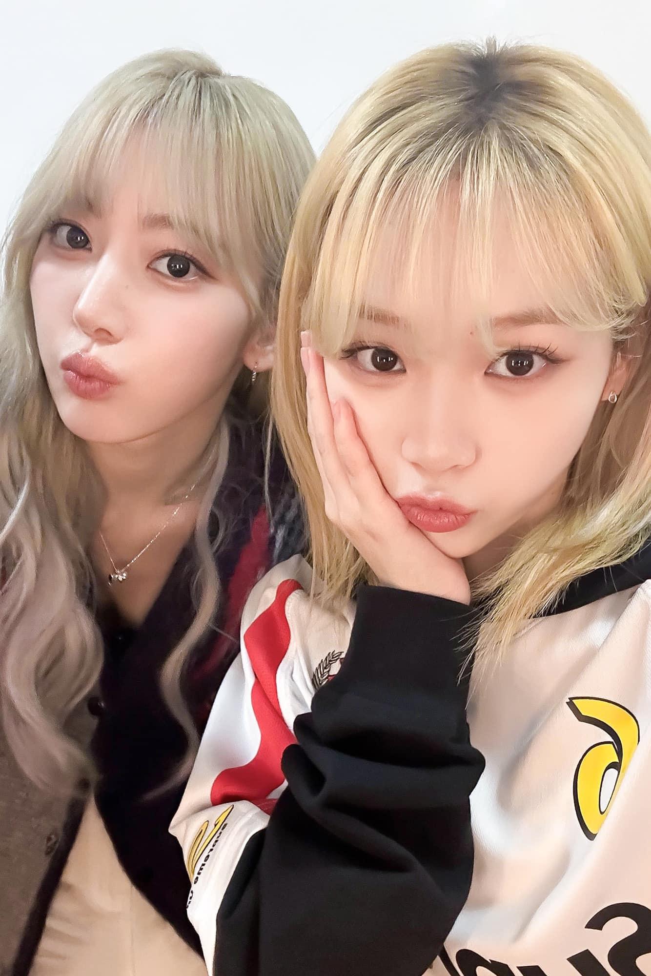 LE SSERAFIM由宮脇咲良、金采源、許允眞、中村一葉及洪恩採組成。