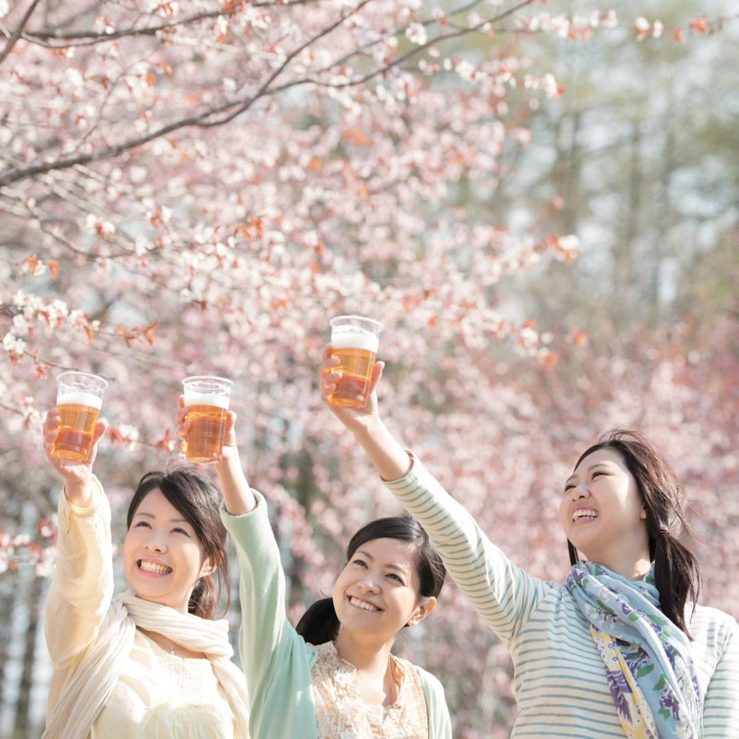 大阪萬博公園櫻花祭