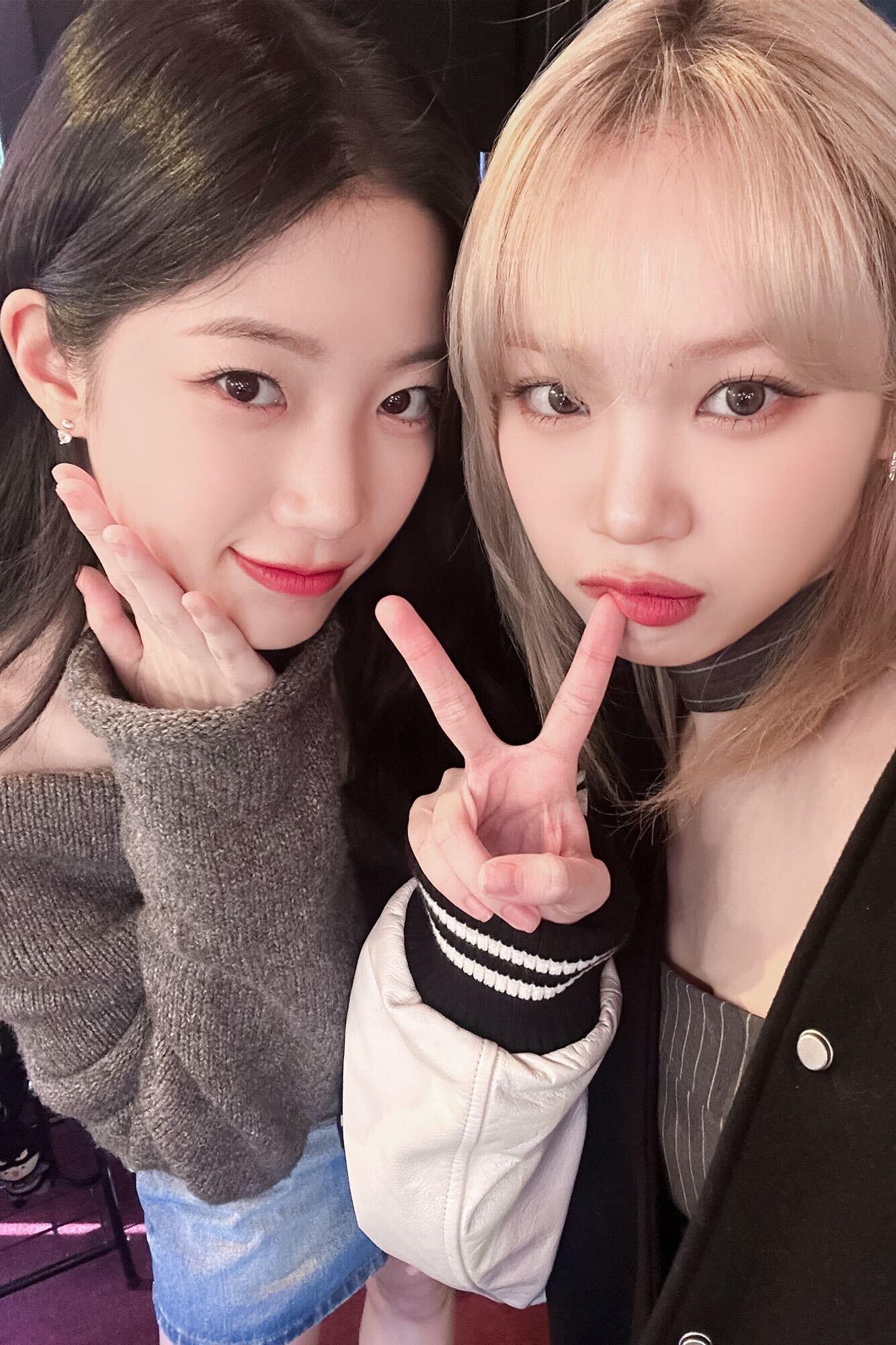 LE SSERAFIM由宮脇咲良、金采源、許允眞、中村一葉及洪恩採組成。