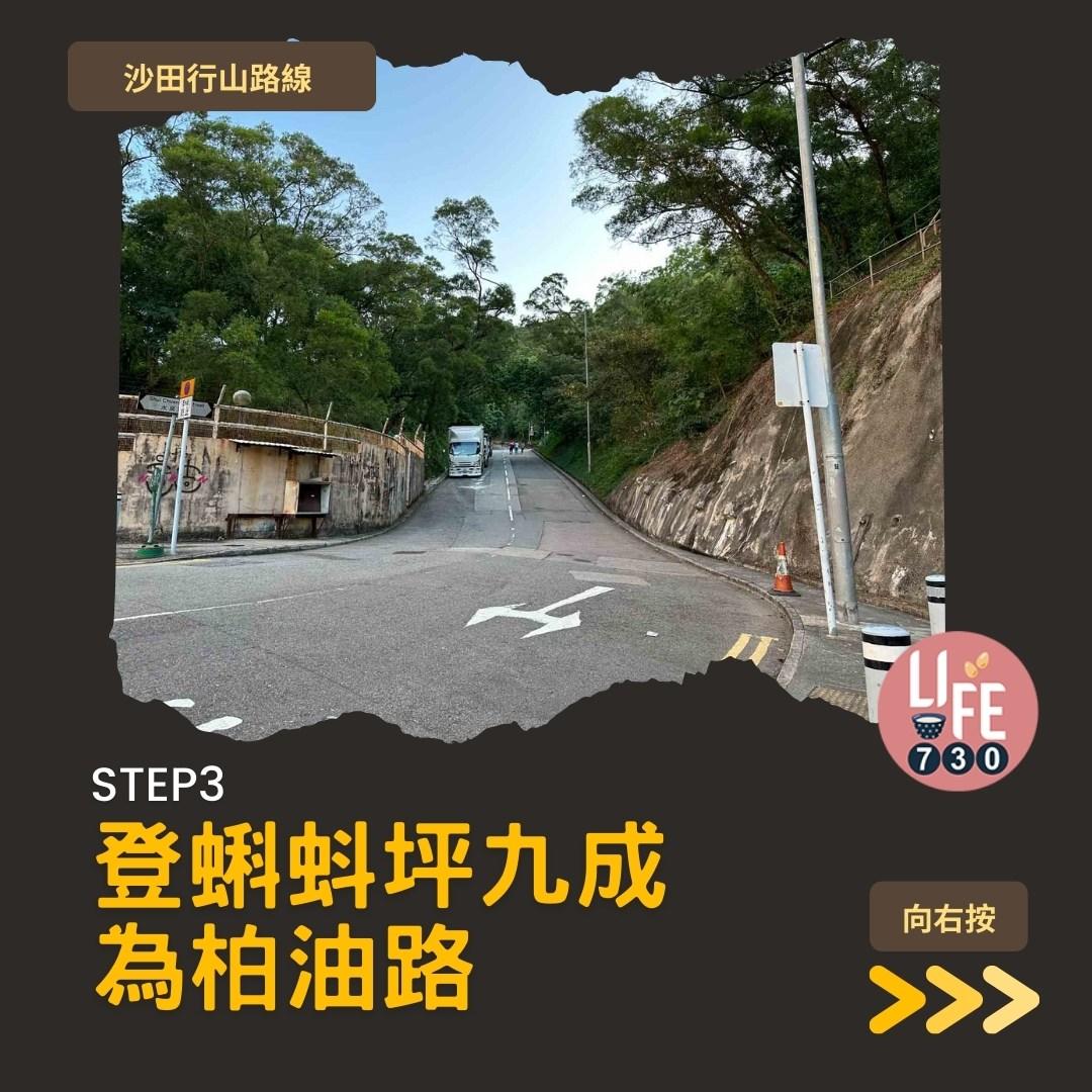 沙田行山|蝌蚪坪輕鬆登頂 周末拍拖親子樂好去處(am730製圖)