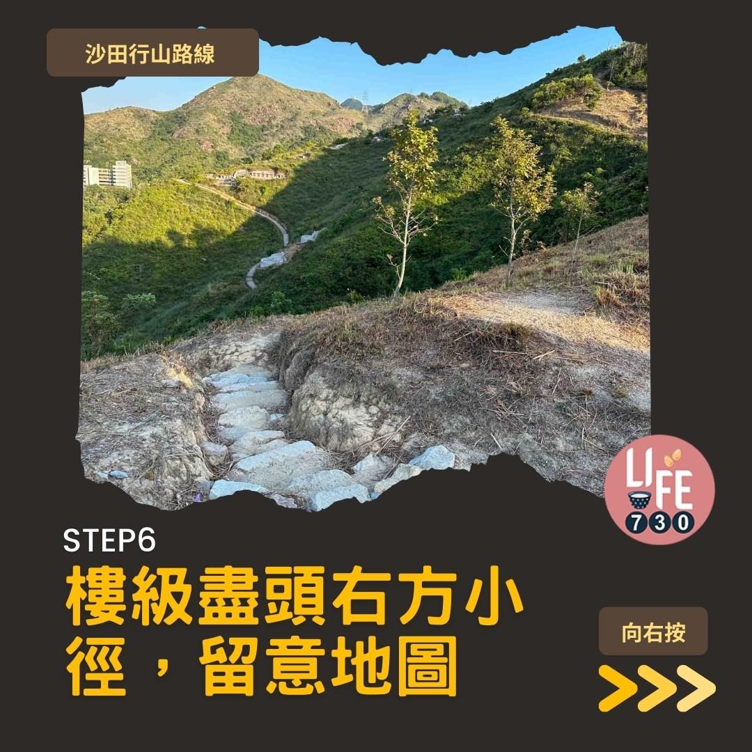 沙田行山|蝌蚪坪輕鬆登頂 周末拍拖親子樂好去處(am730製圖)