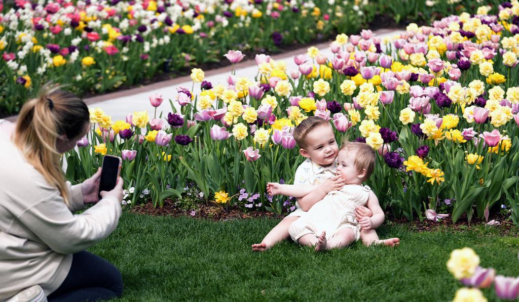 美國德州達拉斯一名母親周二趁天氣暖和,帶兩名小兒子到公園玩樂、拍照。(美聯社)