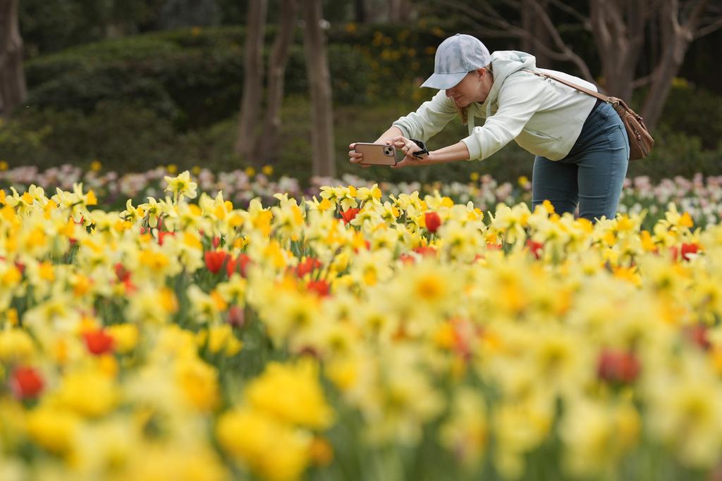 美國德州達拉斯周二和暖,居民到公園遊玩拍照。(美聯社)