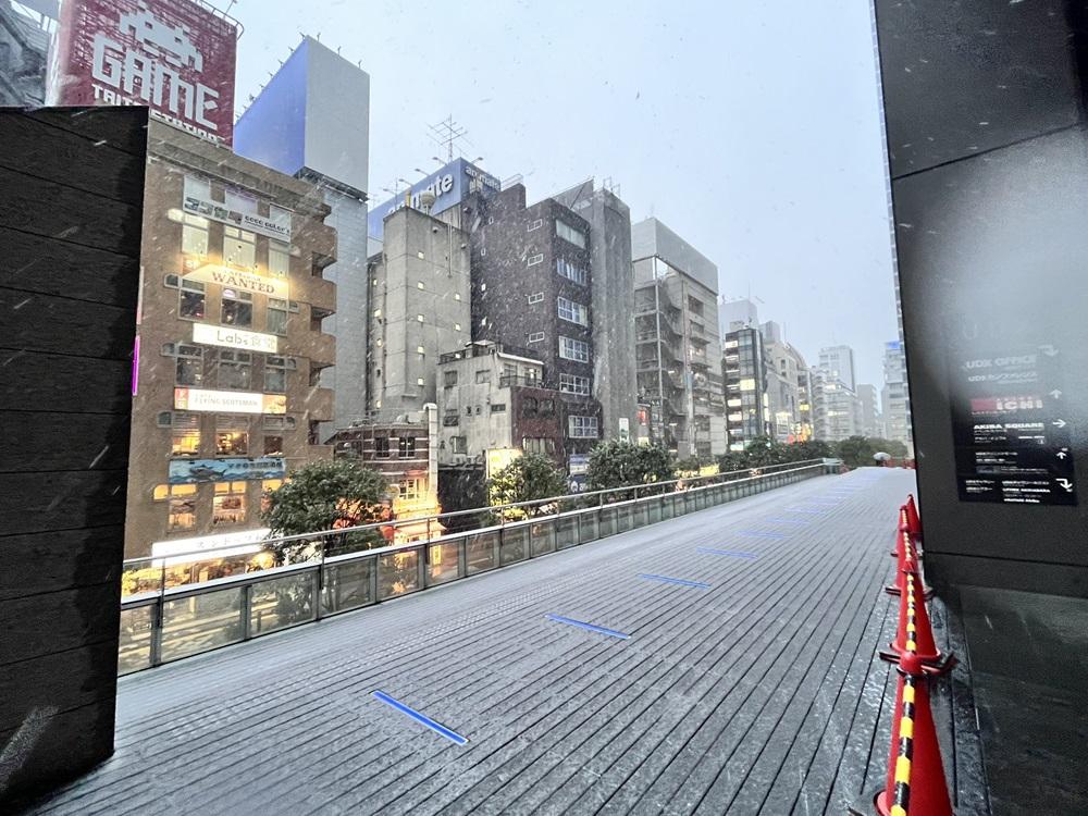 東京秋葉原下雪。(X)