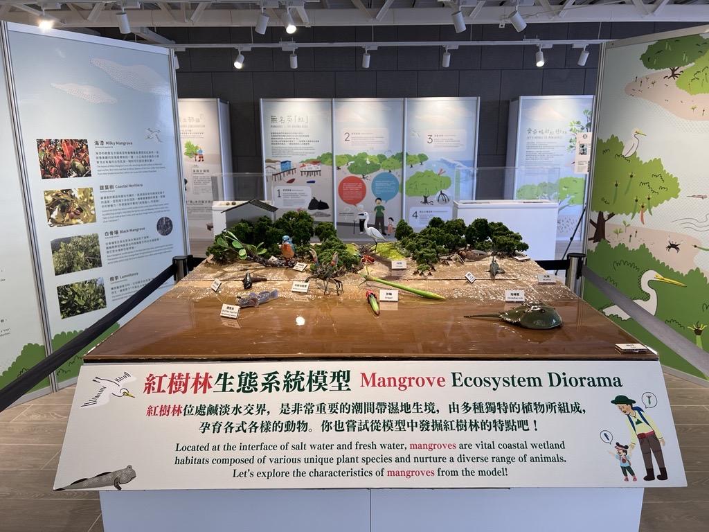 What's 「濕」 紅樹林保育展覽及DIY工作坊