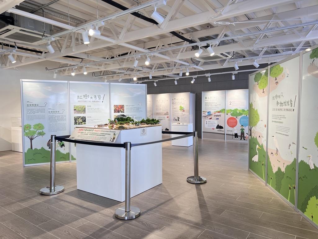 What's 「濕」 紅樹林保育展覽及DIY工作坊