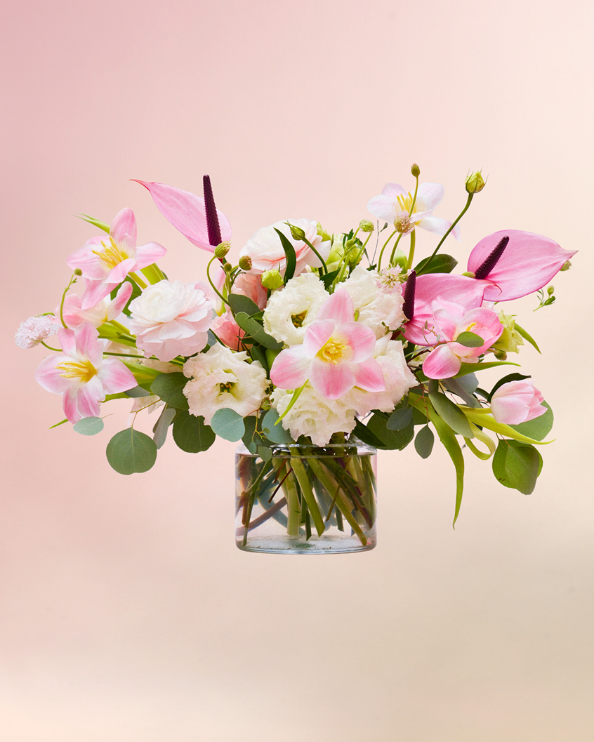 情人節禮物2024|BLOOMS & BLOSSOMS Amour Amour