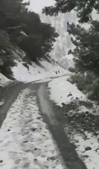 行山意外|華裔女生黃麗菲獨行加州鮑迪山遇暴雪死亡,圖為她生前拍攝最後片段