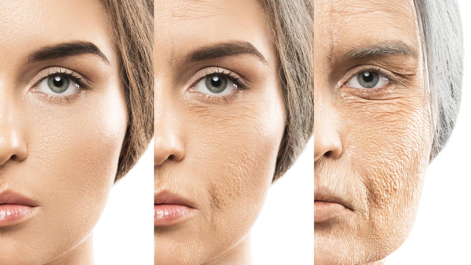 隨著年齡增長,肌膚逐漸出現皺紋、缺乏光澤、鬆弛等衰老跡象。