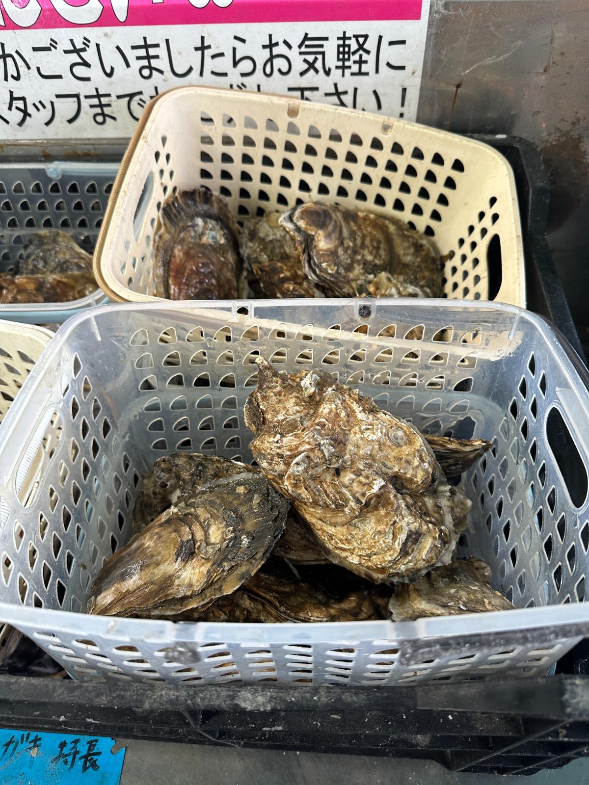 有明牡蠣 每籃¥1,200(約$62港元)、散叫每隻¥250,另外還有檜扇貝及海螺等海鮮。