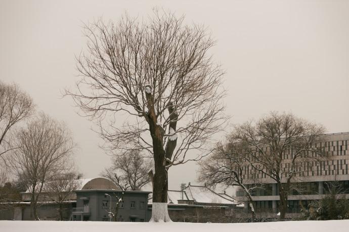 龍年第一場雪|內地維持暴雪黃色和冰凍黃色預警 料至周五仍受寒潮影響(微博圖片)