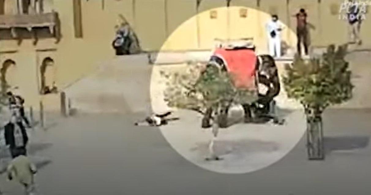 象背上的遊客跌落地上,象鼻仍抓著女遊客。(互聯網)