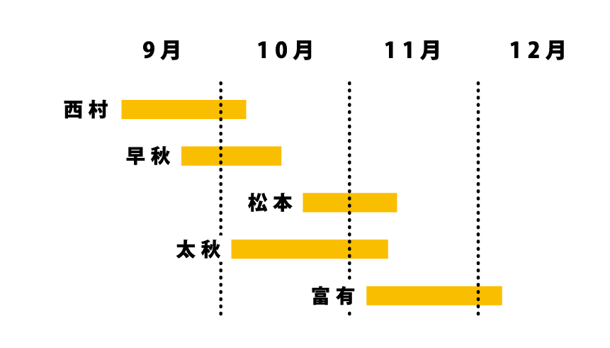 柿子採收期 (圖片來源: 右田果樹園)